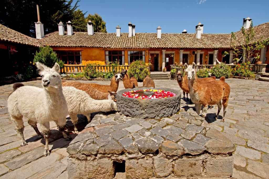 Hacienda San Agustin De Callo Lasso Exterior photo